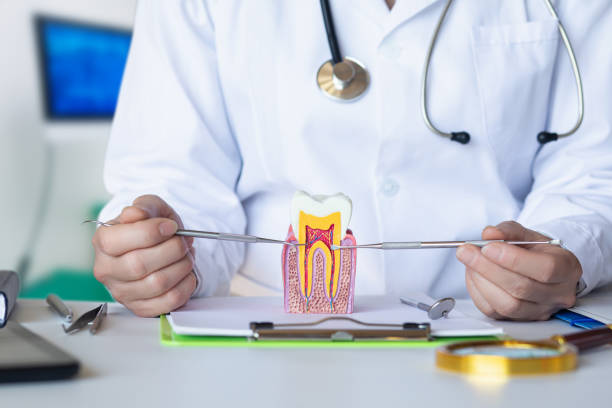 Best Emergency Dental Care for Broken or Chipped Teeth in Silsbee, TX
